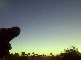 Wl068 - Shannon Party 4 With Ass Licking And Deepthroat