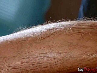 Gay european rides bareback 😏