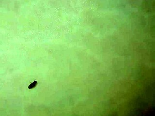 3 Hole Milf Fucked On The Side Of The Road Anal Creampie