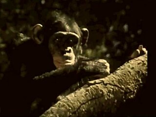 Vintage Beauty Unveils Hairy Charm in Outdoor Retro Scene