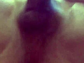 Danielle roy asks, 'want to see me suck and jack cody's big cock with butt plug?'