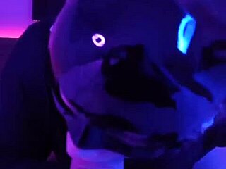 Come here, hungry kitten in cosplay, suck my cock and let me fill you