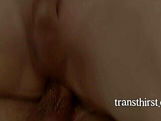 hey, swapping tranny wife Emma Rose tonight?