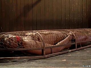 ebony bound tight in back arch with zipper