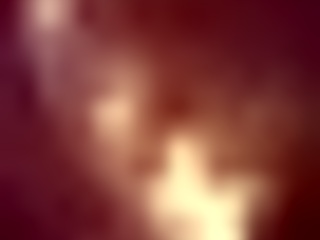 she says, 'i'm taking this huge dildo in my ass'