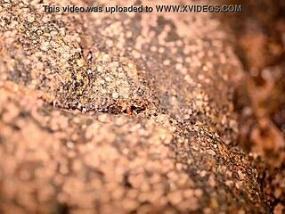 can you watch this big ass pornstar masturbate to orgasm on the beach?