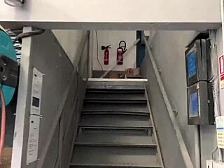 हेयरलेस