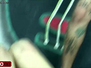 I'm so moved by Britney Bitch and her husband inviting a travesti