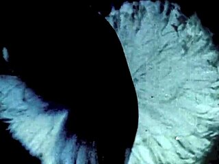 Dark lantern entertainment presents two centuries of vintage sadomasochism with antique bondage