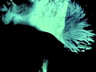 Two Centuries Of Vintage Pornography