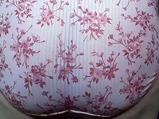 Hola, Auu Mi H, Lend Me Your Panties for My Pussy