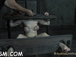 Ever Seen Real Castigation in Hardcore BDSM Action?