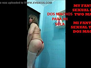 My Sexual Fantasy Involves A Shemale And Two Males In Intimate Encounters