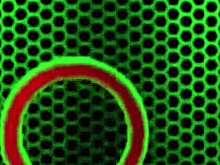 Blonde Karen Fisher Strips to Oil Her Curves!