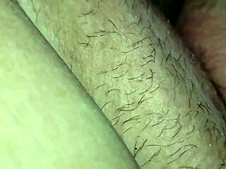 amateur bbw gets creampie from big black cock