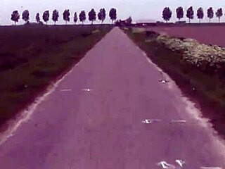 She performs deepthroat and handjob leading to facial cumshot