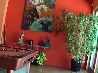 faye reagan appears on the babewatch show.