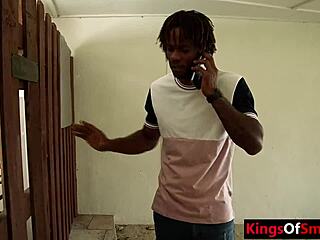 Hey, did you see that nerdy girl banged by black stepbrother?