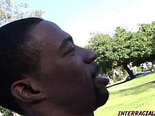 girl from park handles two big black cocks suggestively