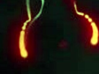 Kenna James Seduces Her Best Straight Friend Jill Kassidy