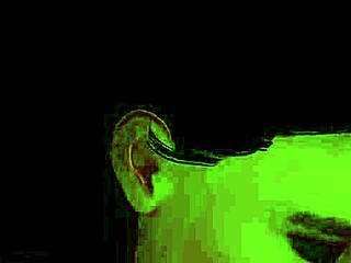 wbp300 arabian nights escort service part two