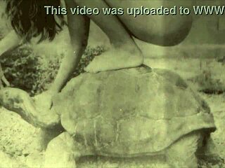 Vintage Pussy Pounded in Retro Outdoor Scene