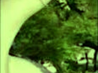 Let's Play Shroomlandia Together