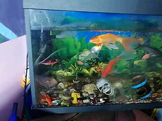 Extreme eye rolling orgasms as super petite 18+ teen gets used like a toy outdoors