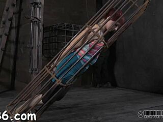 hung up playgirl faces punishment in garage