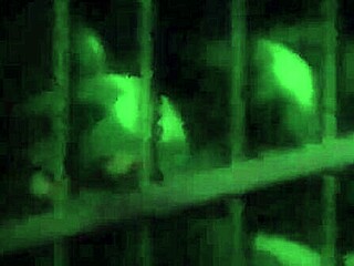 Hentai Pussy Fucked in Anime