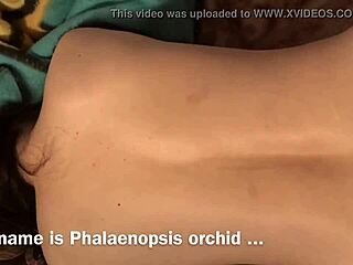 my wife screaming during orgasm and squirting