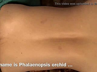 my wife screaming during orgasm and squirting