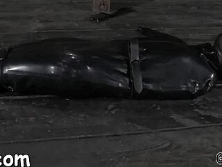 Harsh BDSM narratives featuring oral sex and hardcore fucking