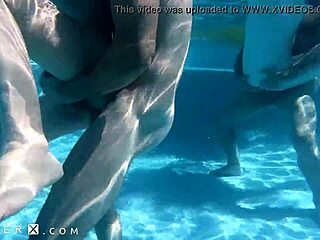 Pool Party Turns Into Wild Trans Orgy