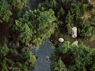 Genesis Order Part 43