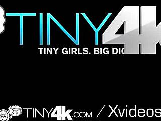 Tiny4K multiple tiny 18+ girls cum fucking several big dicks compilation
