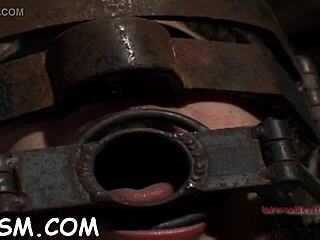 Wild Thraldom Action with Hardcore Domination!