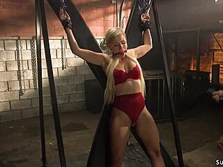 bound blonde in lingerie, whipped or deepthroated?