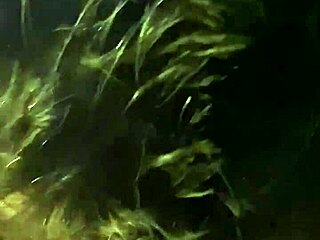 Fat BBW Woman Giving Detailed Blowjob to Big Cock