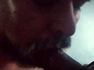 Enjoy a genuine black shemale with a massive member