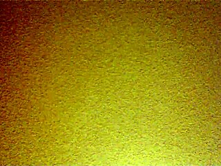 Mexican Amateur Bent Over in Doggystyle Position for Intense Fucking