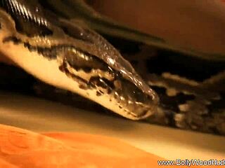 Indian Brunette Teases with Striptease and Dancing