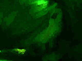 Intense Blowjob With Deepthroat And Gagging Action