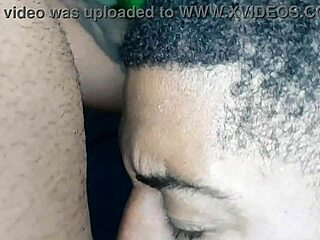 Friends In Orgy With Ass To Mouth Cum