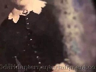 He Exclaims, 'Read My Erotic Confessions of Victorian Sex Adventures!'