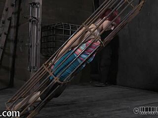 Zealous arse whipping for the playgirl in USA.