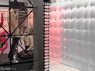 Exotic Blonde Stripper Ash Hollywood Gets Fucked Hard!