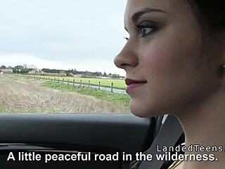 Small Tittied Teen 18+ Gets Wild in Car POV