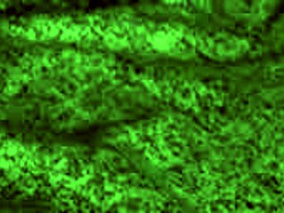 I watched that redhot fox milf orgasm hard