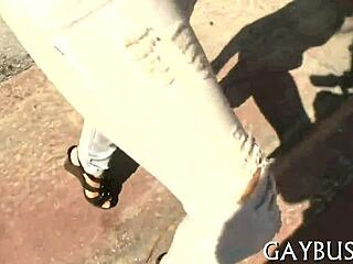 Sexy Gay Guys Engage In Intense Sexual Encounters